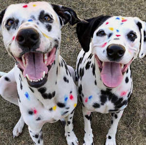 Meet your Posher, Jaime